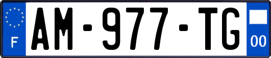 AM-977-TG