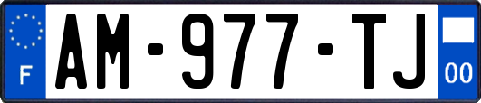 AM-977-TJ