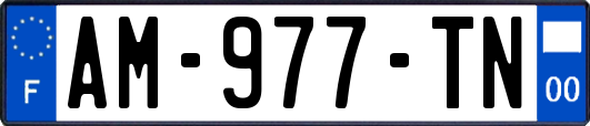 AM-977-TN
