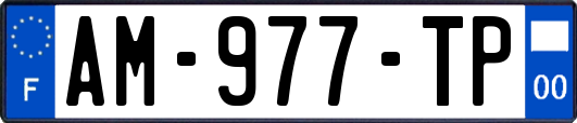 AM-977-TP