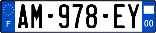 AM-978-EY