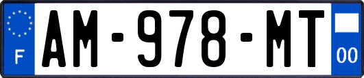 AM-978-MT
