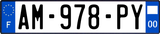 AM-978-PY