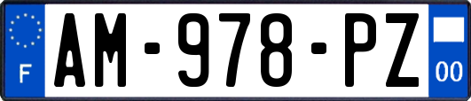 AM-978-PZ