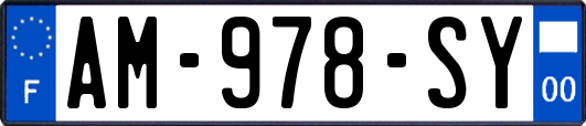 AM-978-SY