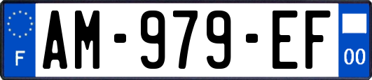 AM-979-EF