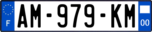 AM-979-KM