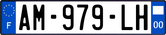 AM-979-LH