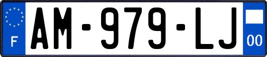 AM-979-LJ