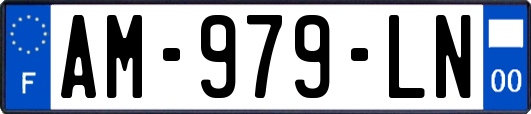 AM-979-LN