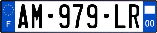 AM-979-LR