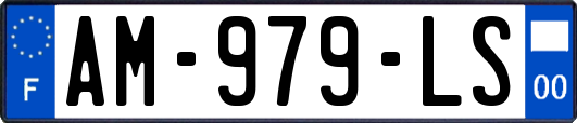 AM-979-LS
