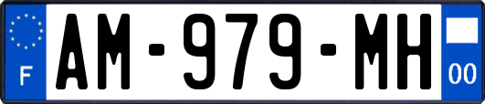 AM-979-MH