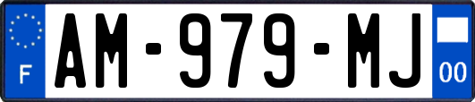 AM-979-MJ