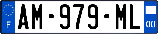 AM-979-ML