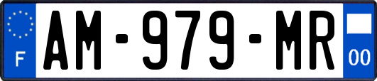 AM-979-MR