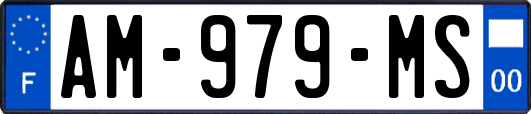 AM-979-MS
