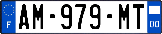 AM-979-MT