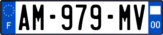 AM-979-MV