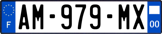 AM-979-MX
