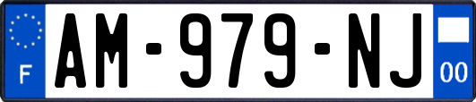 AM-979-NJ