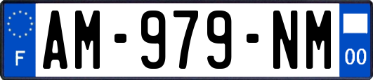 AM-979-NM