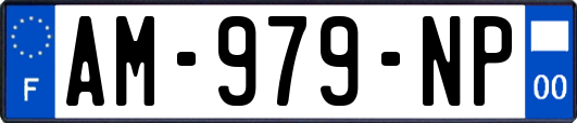 AM-979-NP