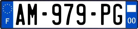 AM-979-PG