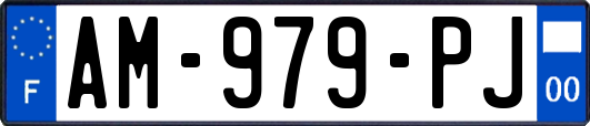 AM-979-PJ
