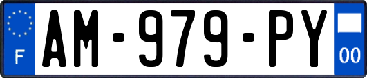 AM-979-PY