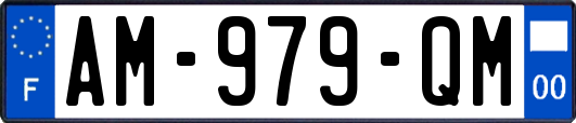 AM-979-QM