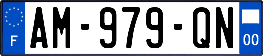 AM-979-QN