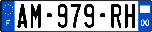 AM-979-RH