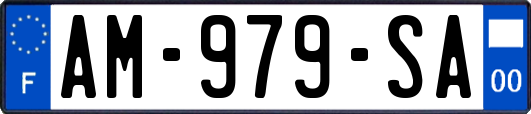 AM-979-SA