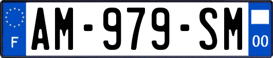 AM-979-SM