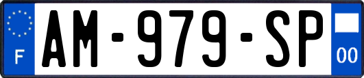 AM-979-SP