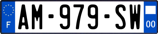 AM-979-SW