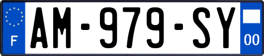 AM-979-SY