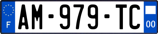 AM-979-TC