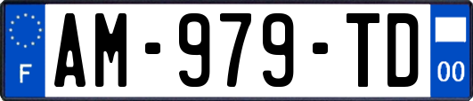 AM-979-TD