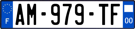 AM-979-TF