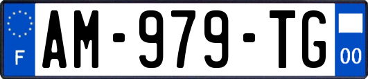 AM-979-TG