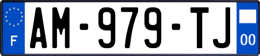 AM-979-TJ