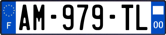 AM-979-TL