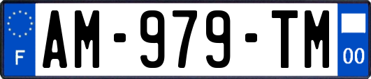 AM-979-TM