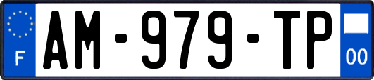 AM-979-TP