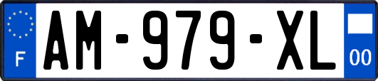 AM-979-XL