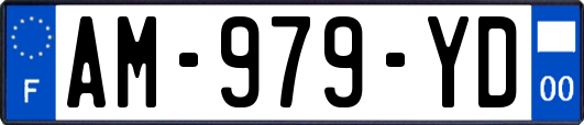 AM-979-YD