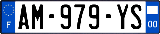 AM-979-YS