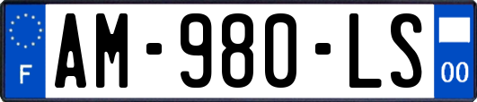 AM-980-LS